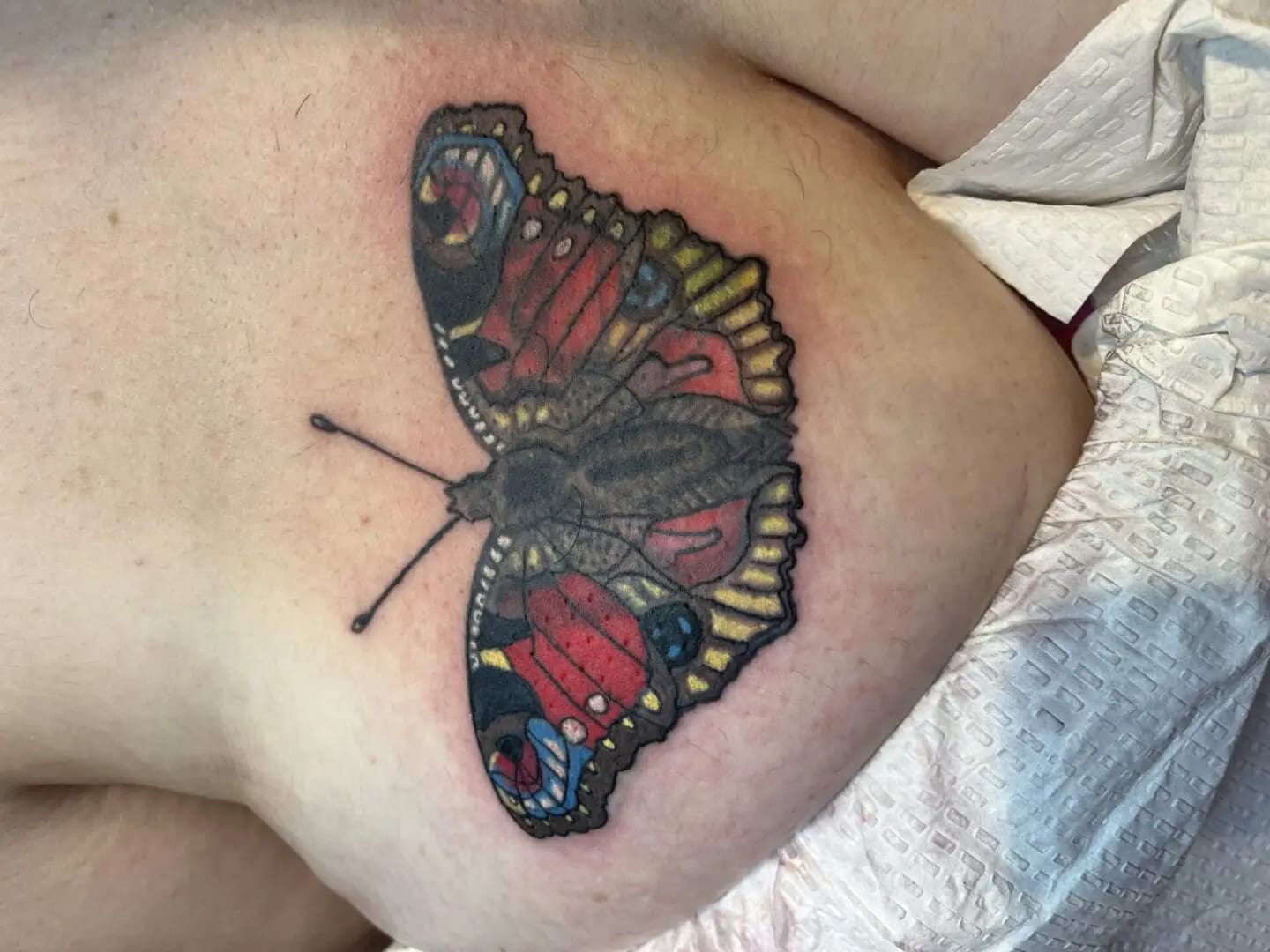 A butterfly tattoo is shown on the back of a woman.