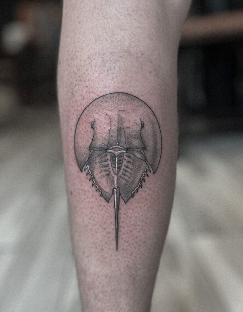 A tattoo of an animal skeleton on the arm.