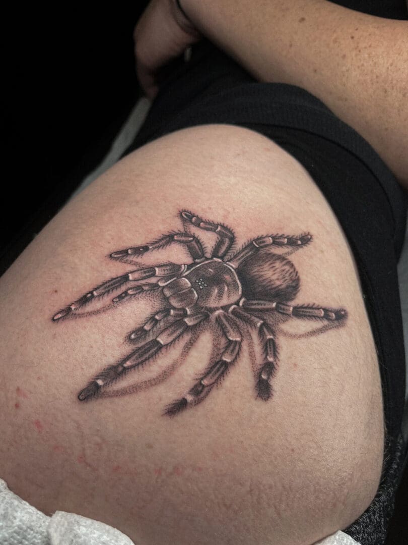 A spider tattoo is shown on the arm of someone.